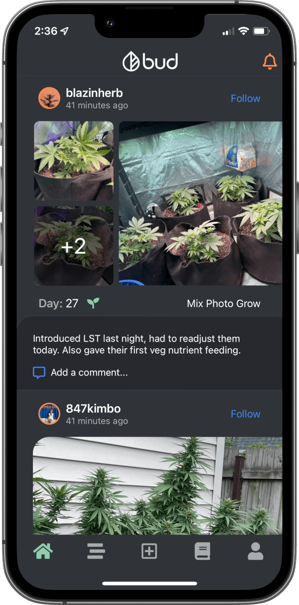 bud screen shot
